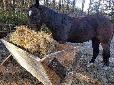 1001pallets.com-pallet-hay-bins-horses-love-using-them-8