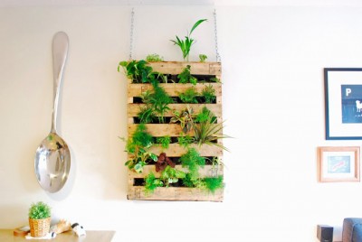 indoor pallet planter