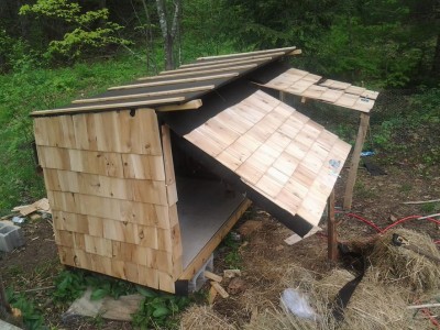 chicken-coop