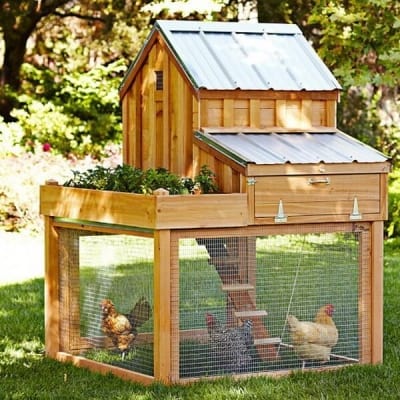 chicken coop