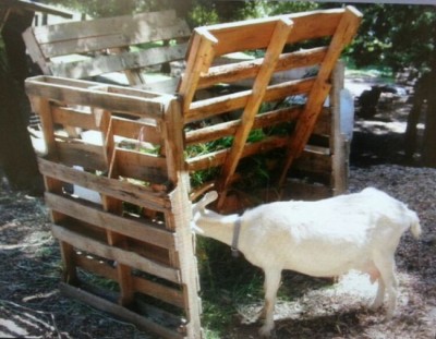 Recycled-Pallets-Hay-Feeder
