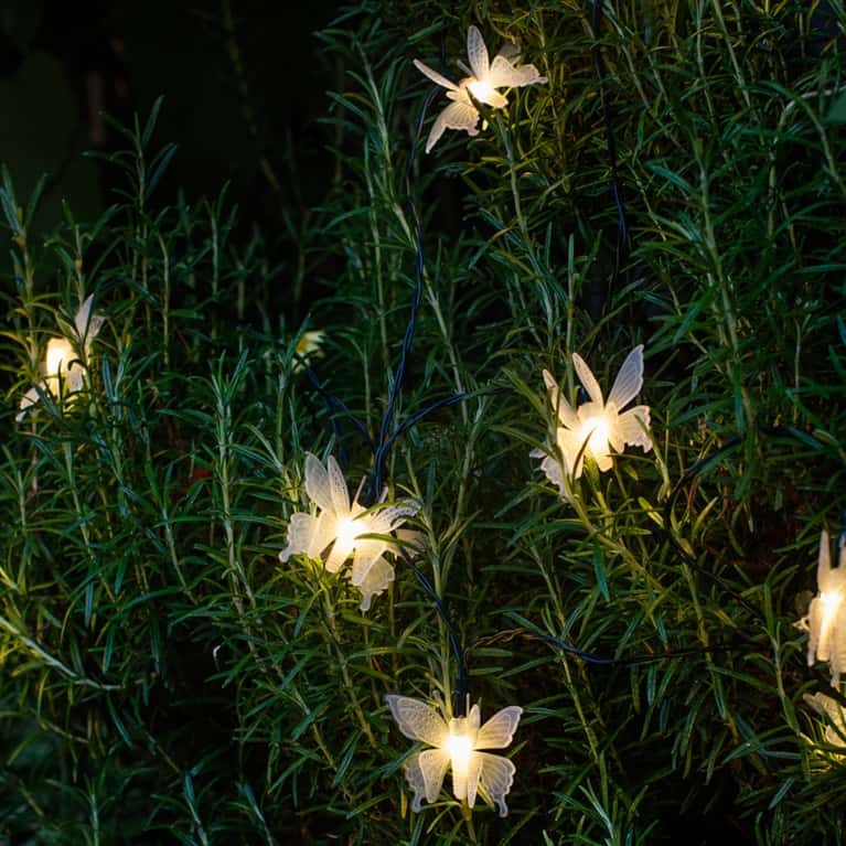 butterfly fairy lights