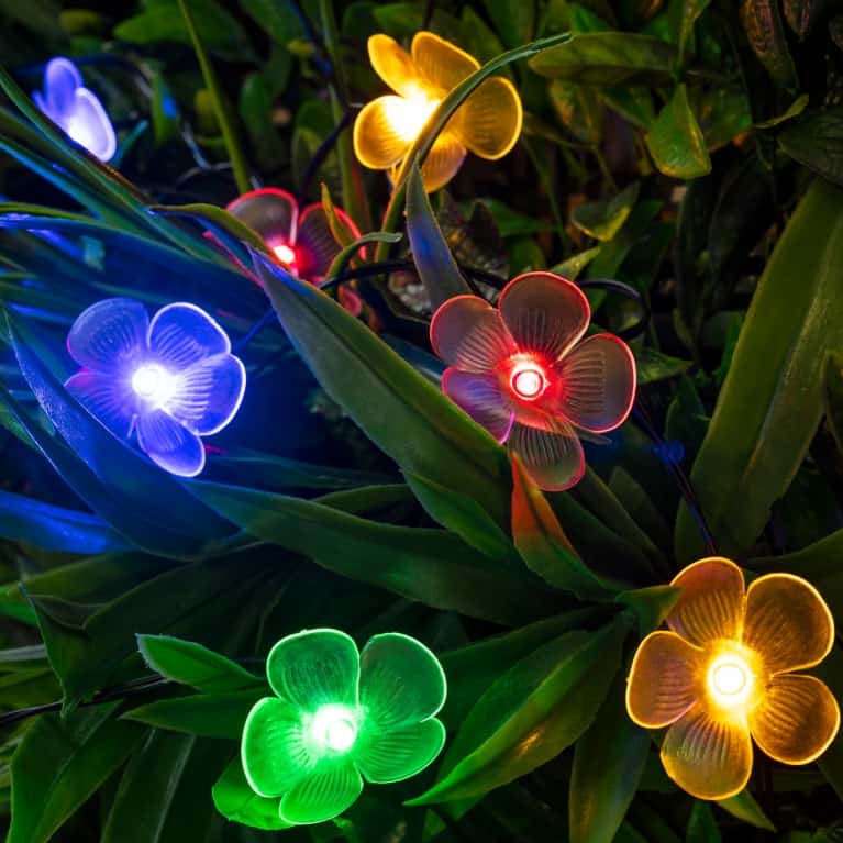 multicoloured flower fairy lights