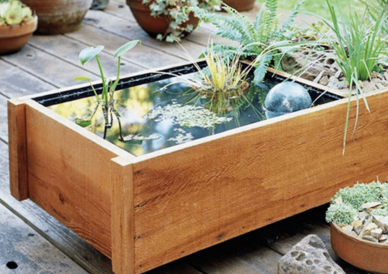 pond box