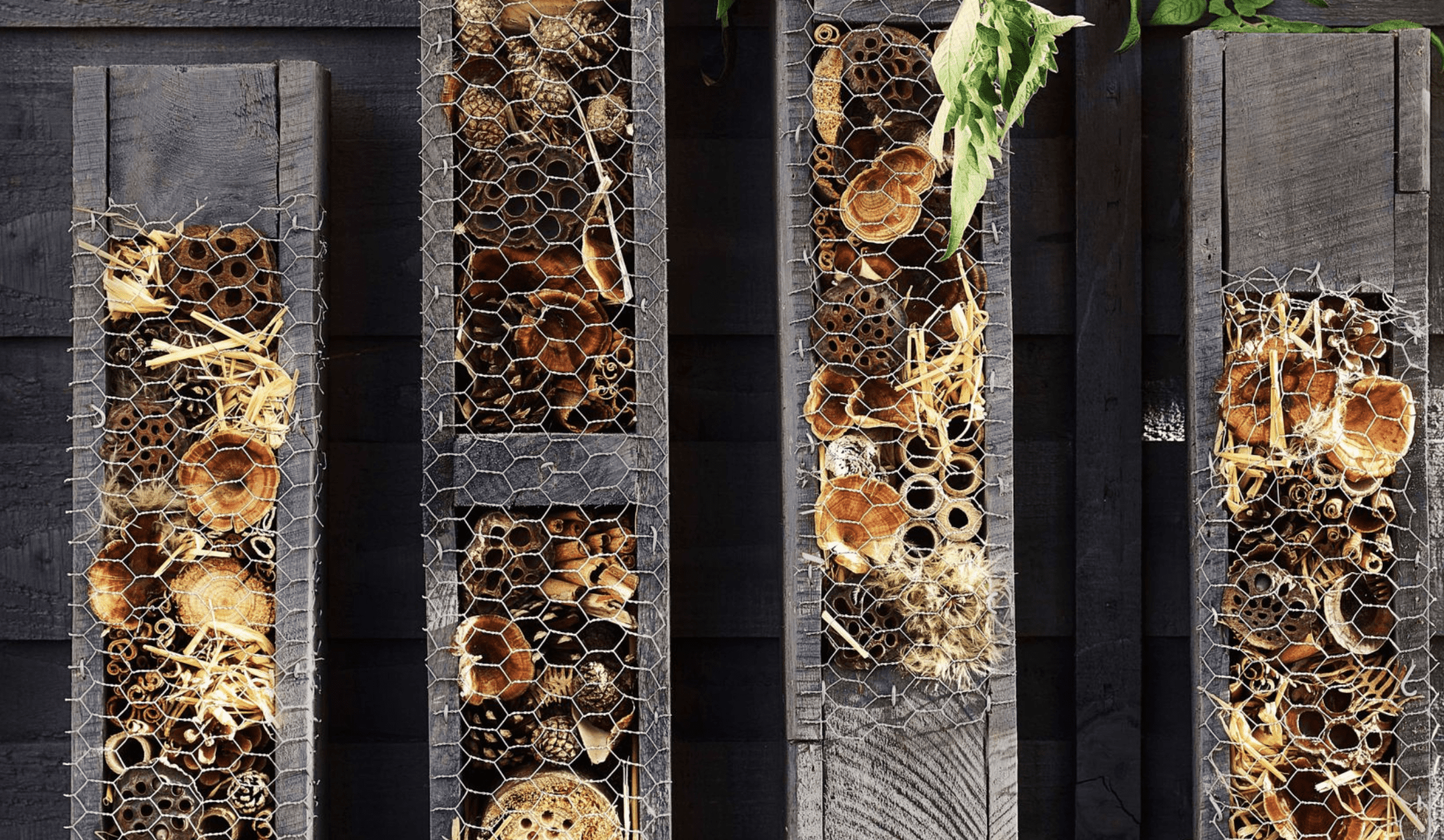 bee hotel