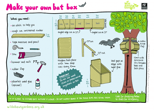 Bat box instructions