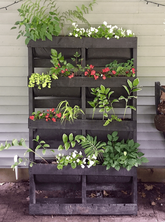 Vertical garden