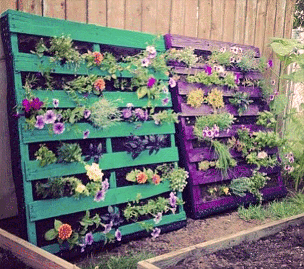 Pallet planters filled with flowers