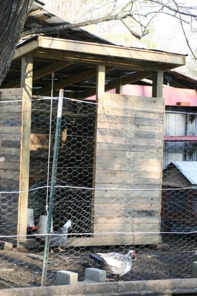 chicken-coop