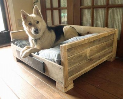recycled-pallet-dog-bed (1)